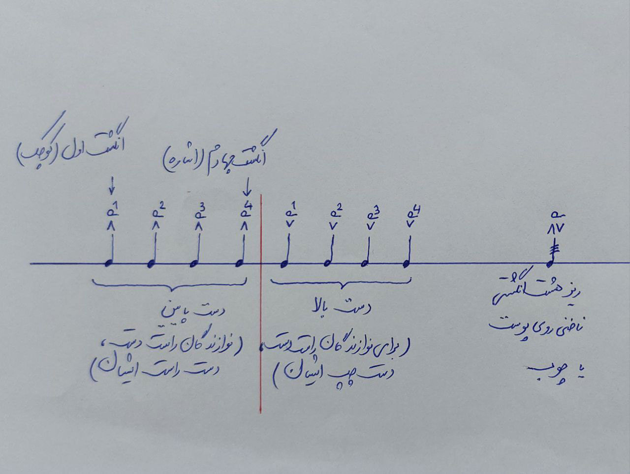 نت ریز 8 انگشتی ناخنی در تنبک